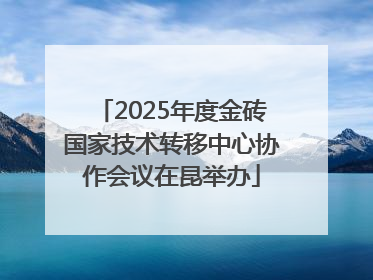 2025年度金砖国家技术转移中心协作会议在昆举办
