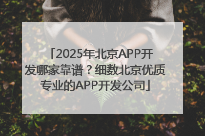 2025年北京APP开发哪家靠谱？细数北京优质专业的APP开发公司