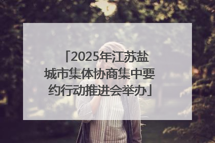 2025年江苏盐城市集体协商集中要约行动推进会举办