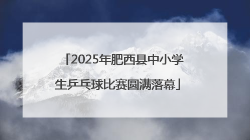 2025年肥西县中小学生乒乓球比赛圆满落幕