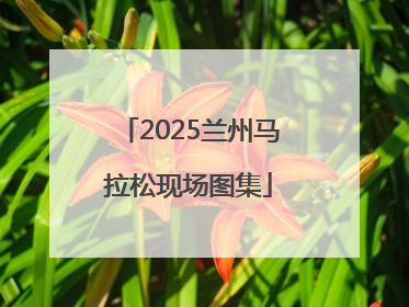 2025兰州马拉松现场图集