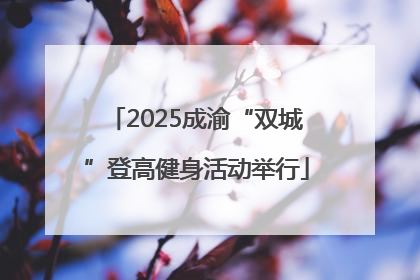 2025成渝“双城”登高健身活动举行