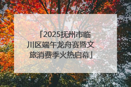 2025抚州市临川区端午龙舟赛暨文旅消费季火热启幕