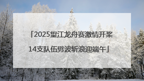2025望江龙舟赛激情开桨 14支队伍劈波斩浪迎端午