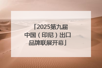 2025第九届中国（印尼）出口品牌联展开幕