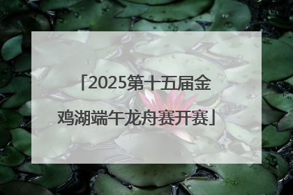 2025第十五届金鸡湖端午龙舟赛开赛