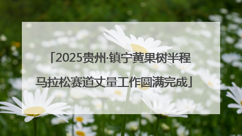 2025贵州·镇宁黄果树半程马拉松赛道丈量工作圆满完成