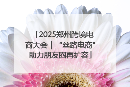 2025郑州跨境电商大会｜“丝路电商”助力朋友圈再扩容