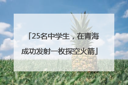25名中学生，在青海成功发射一枚探空火箭