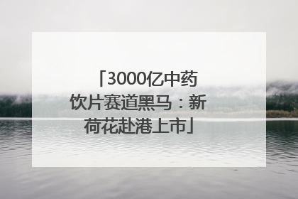 3000亿中药饮片赛道黑马：新荷花赴港上市