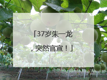 37岁朱一龙，突然官宣！