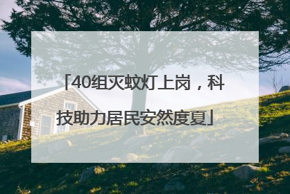 40组灭蚊灯上岗，科技助力居民安然度夏