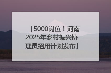 5000岗位！河南2025年乡村振兴协理员招用计划发布