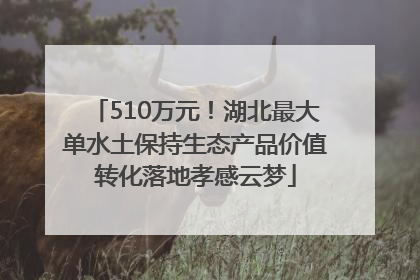 510万元！湖北最大单水土保持生态产品价值转化落地孝感云梦