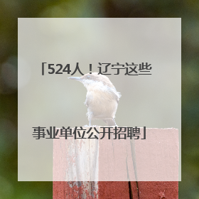 524人！辽宁这些事业单位公开招聘