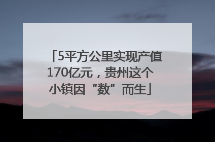 5平方公里实现产值170亿元，贵州这个小镇因“数”而生
