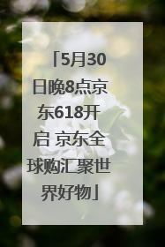 5月30日晚8点京东618开启 京东全球购汇聚世界好物