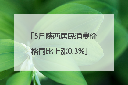 5月陕西居民消费价格同比上涨0.3%