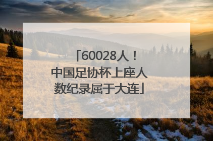 60028人！中国足协杯上座人数纪录属于大连
