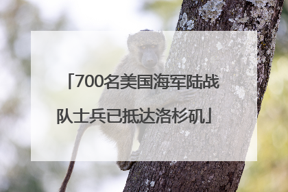700名美国海军陆战队士兵已抵达洛杉矶
