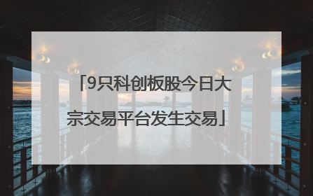 9只科创板股今日大宗交易平台发生交易