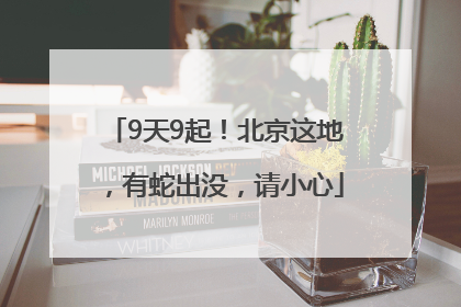 9天9起！北京这地，有蛇出没，请小心