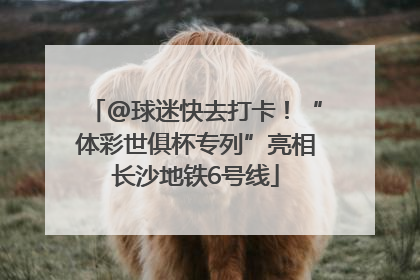 @球迷快去打卡！“体彩世俱杯专列”亮相长沙地铁6号线