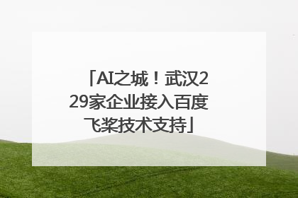 AI之城！武汉229家企业接入百度飞桨技术支持