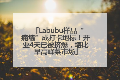Labubu样品“痛墙”成打卡地标！开业4天已被挤爆，堪比早高峰菜市场