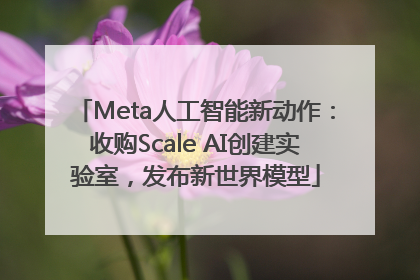 Meta人工智能新动作：收购Scale AI创建实验室，发布新世界模型