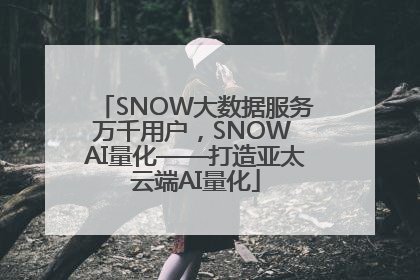 SNOW大数据服务万千用户，SNOW AI量化——打造亚太云端AI量化